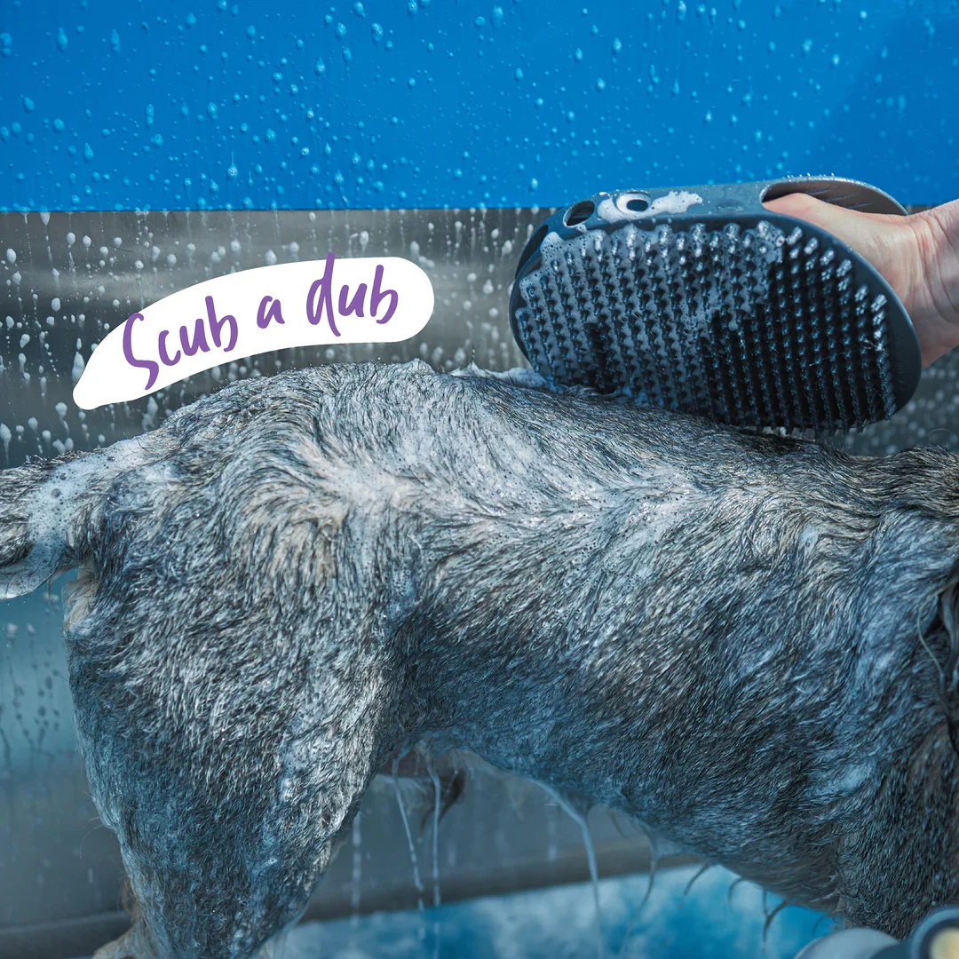 Kazoo Grooming Mitt - Image 4