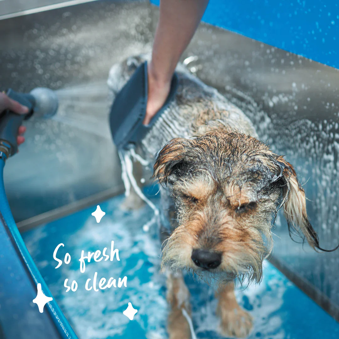 Kazoo Grooming Mitt - Image 5