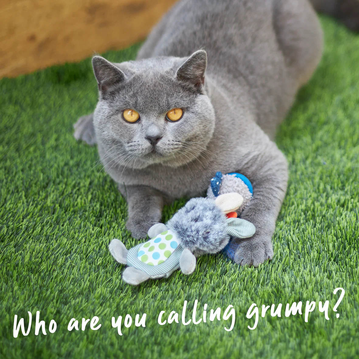 Kazoo Grumpy Rabbit Cat Toy - Image 2
