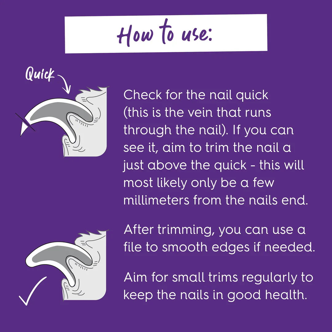 Kazoo Guillotine Nail Clipper - Image 3