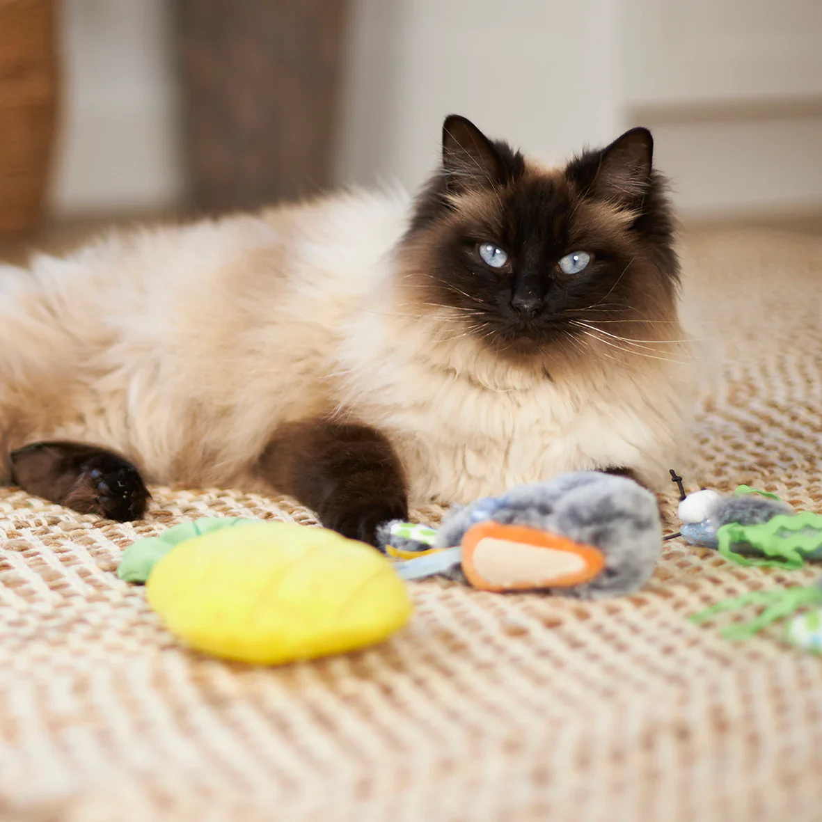 Kazoo Hungry Bunny Cat Toy - Image 3
