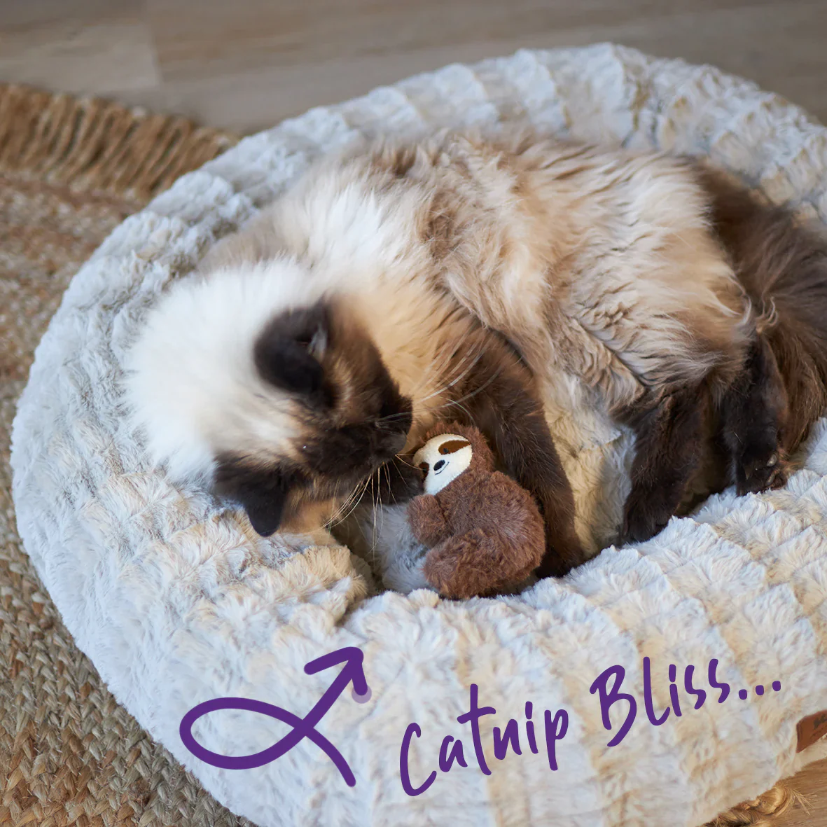 Kazoo Jungle Sloth Cat Toy - Image 4