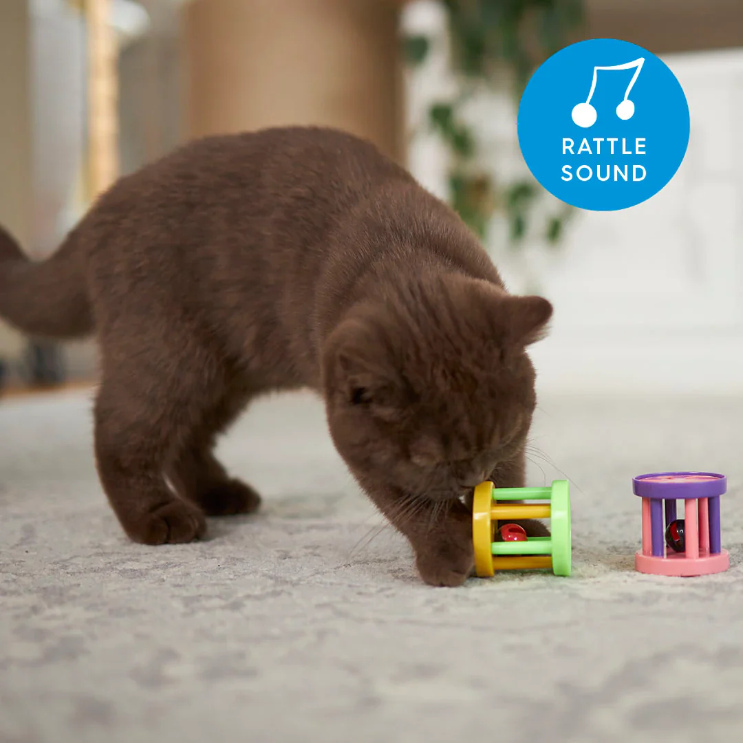 Kazoo Kitty Barrel Rattle Cat Toy - Image 2