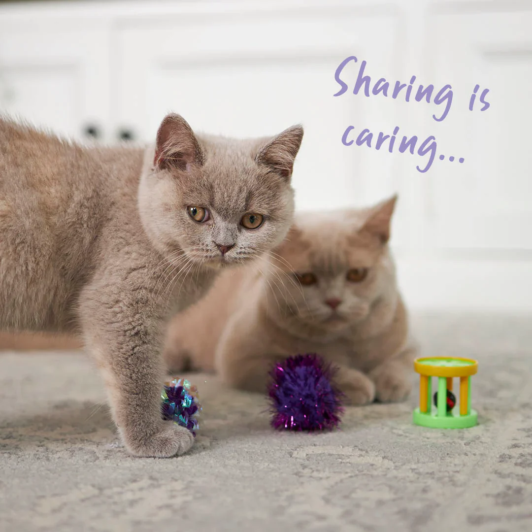 Kazoo Kitty Barrel Rattle Cat Toy - Image 3