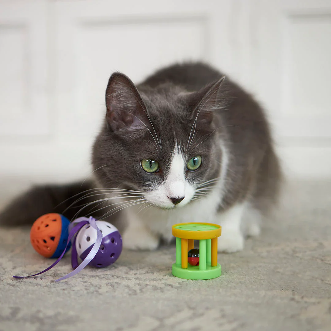 Kazoo Kitty Barrel Rattle Cat Toy - Image 4
