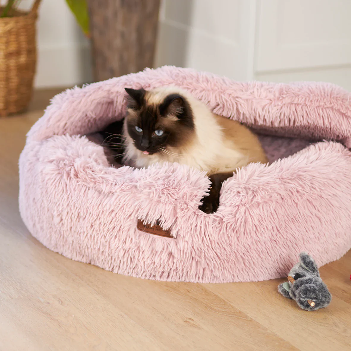 Kazoo Koala Cuddles Cat Toy - Image 3