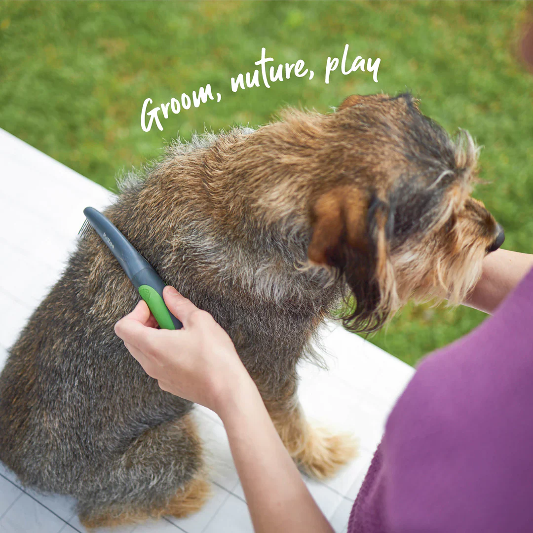 Kazoo Moulting Comb - Image 3
