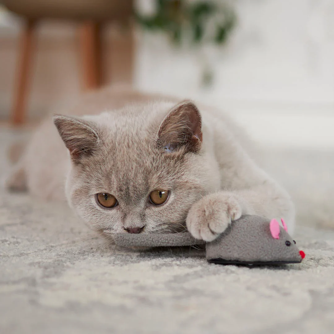 Kazoo Move It Mouse Cat Toy - Image 2