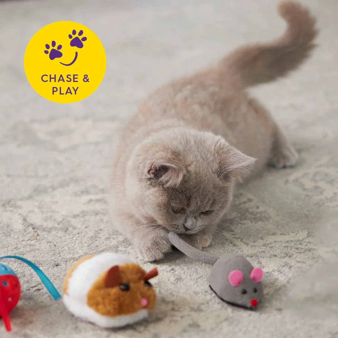 Kazoo Move It Mouse Cat Toy - Image 4