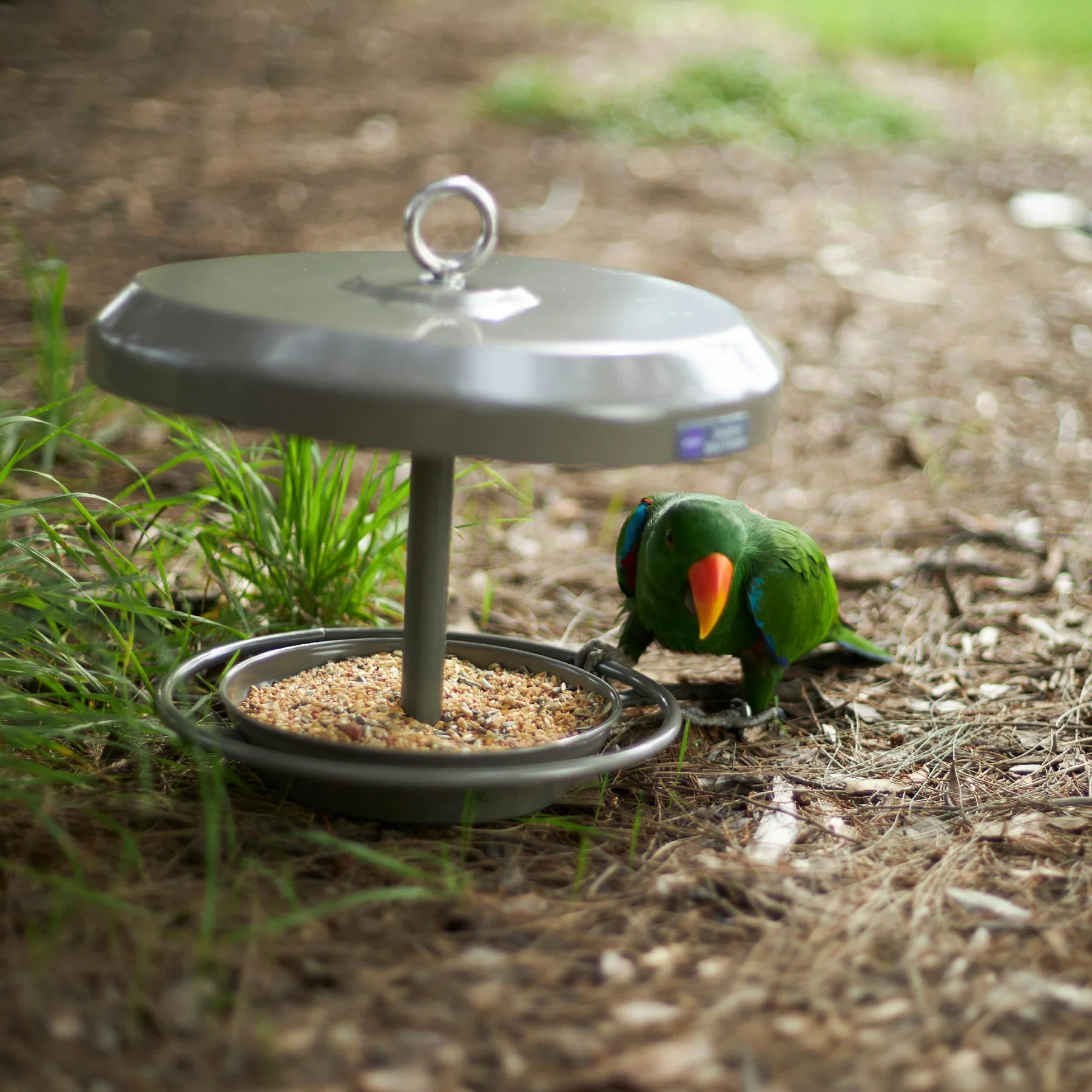 Kazoo Outdoor Bird Feeder - Image 3