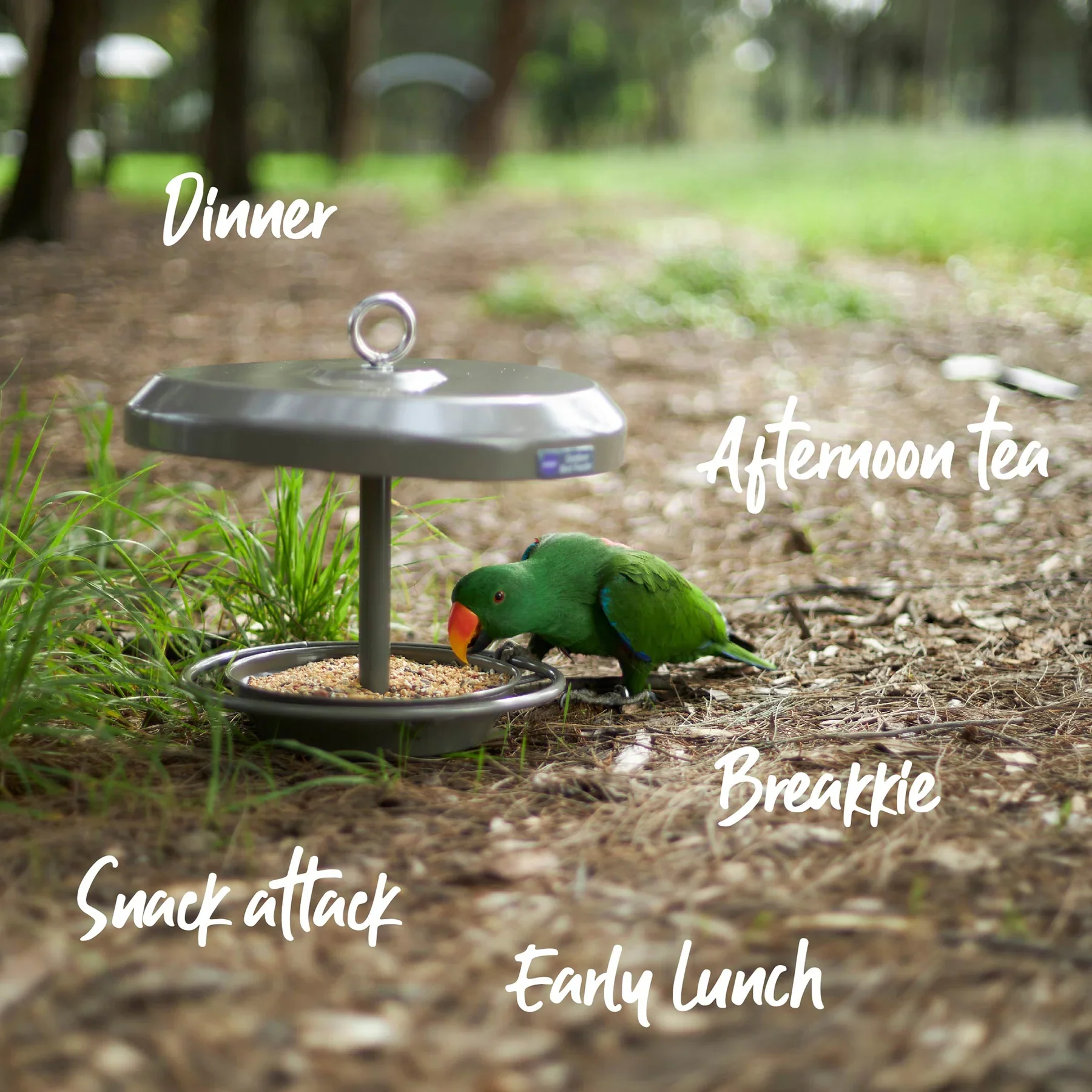 Kazoo Outdoor Bird Feeder - Image 5