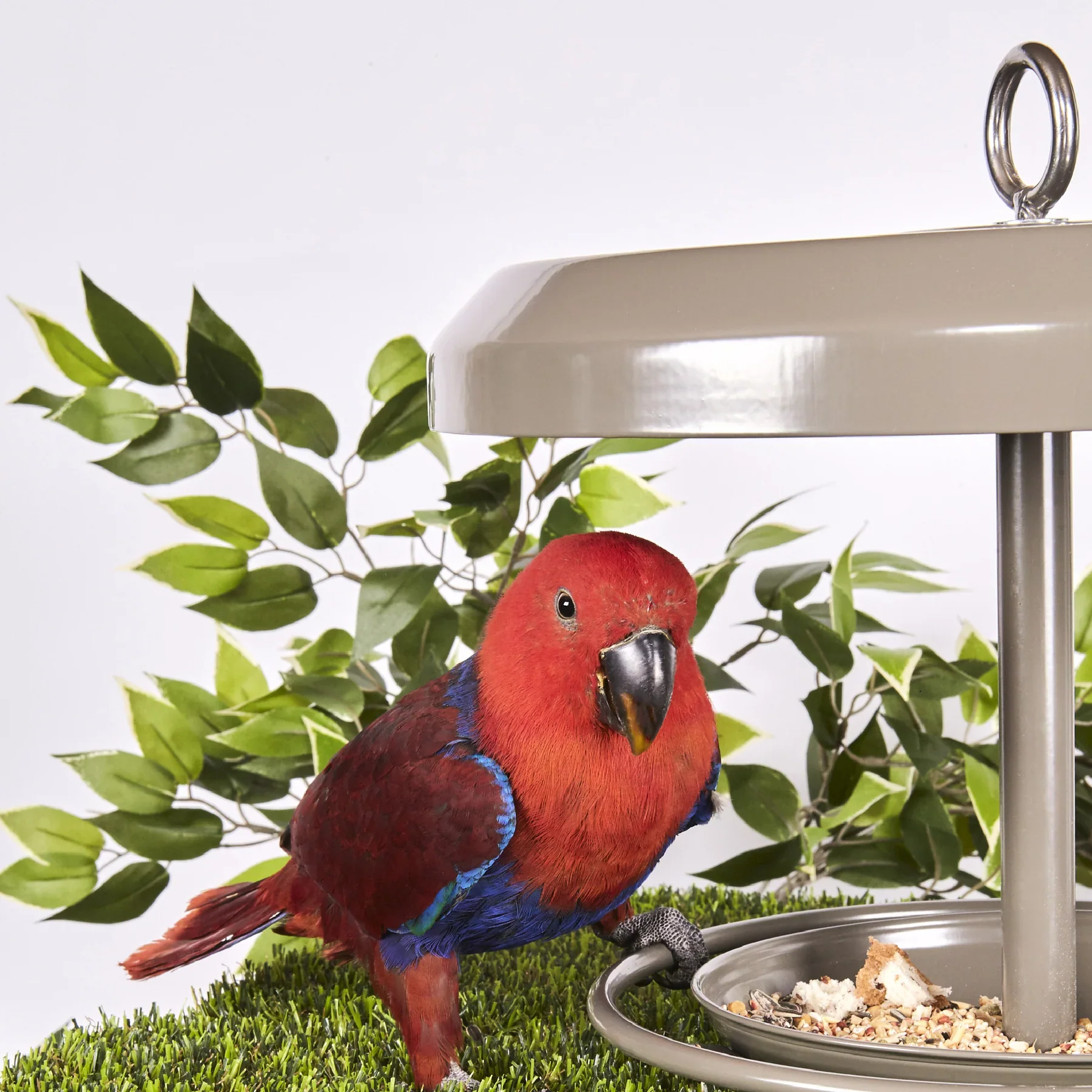 Kazoo Outdoor Bird Feeder - Image 6