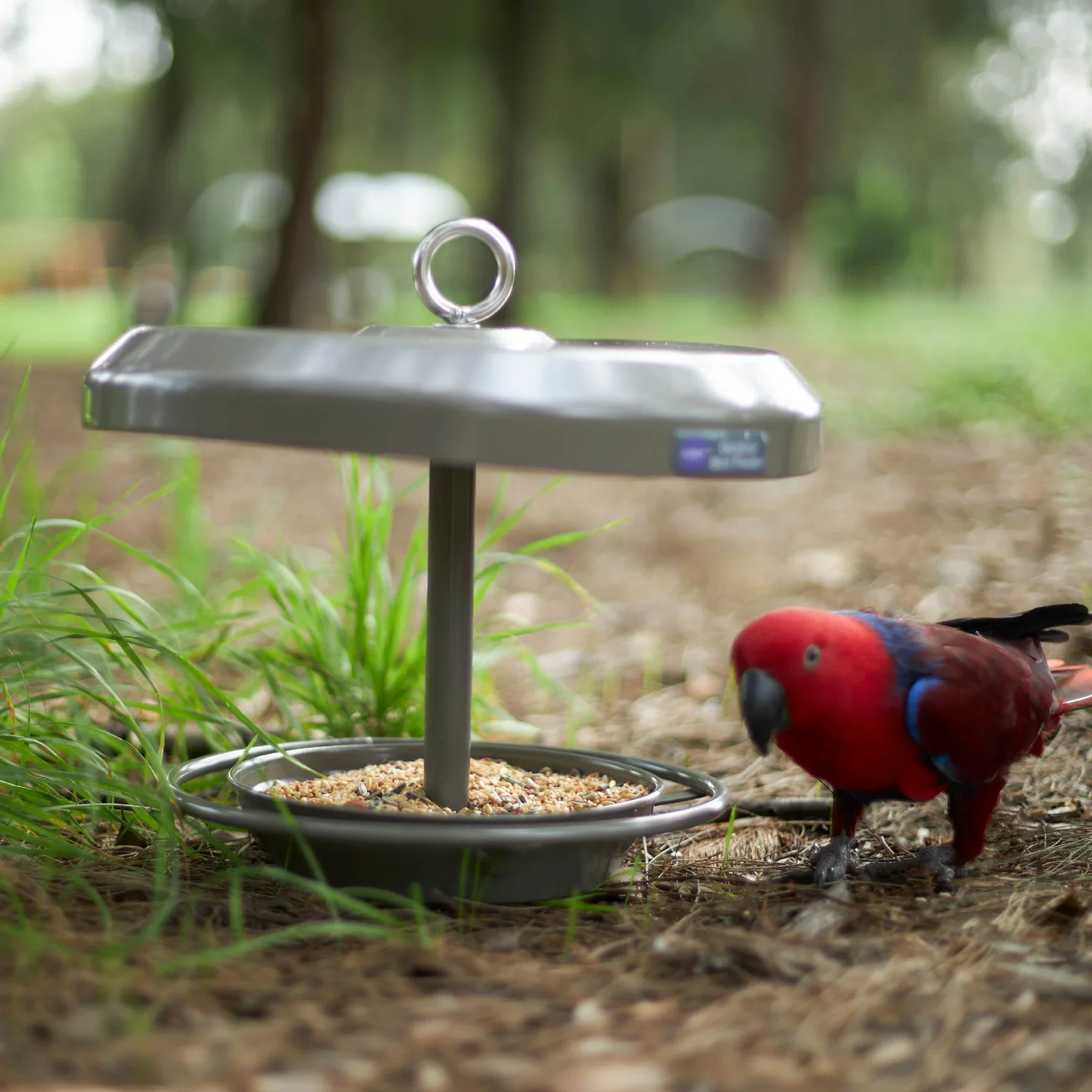 Kazoo Outdoor Bird Feeder - Image 7