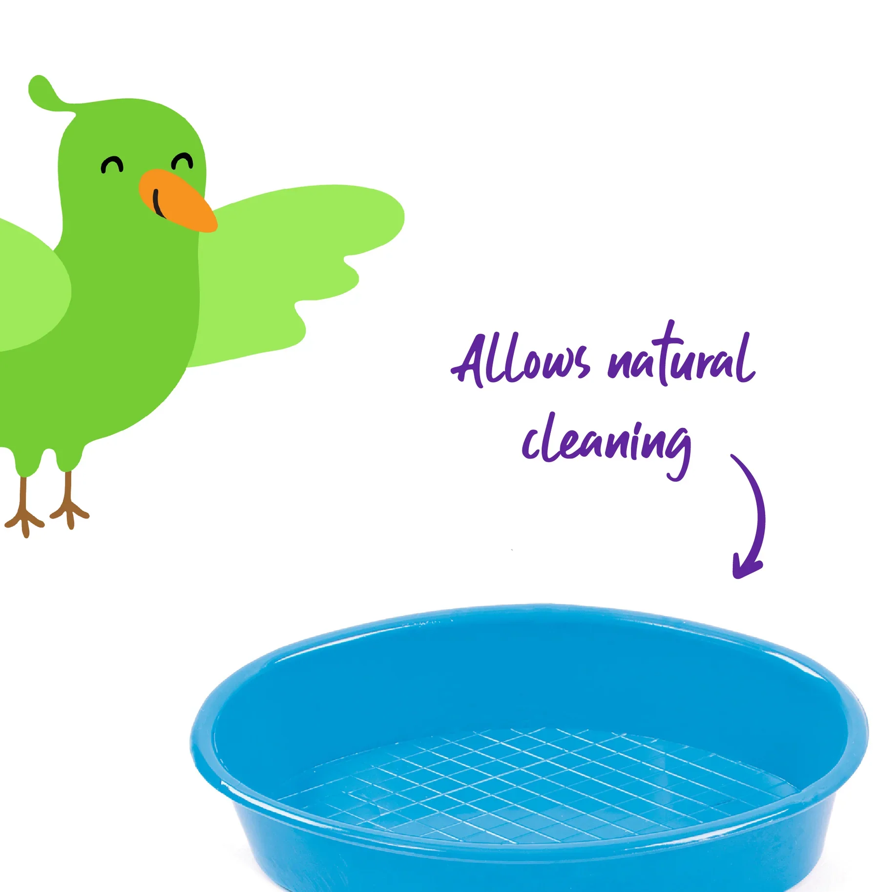 Kazoo Oval Bird Bath - Image 2