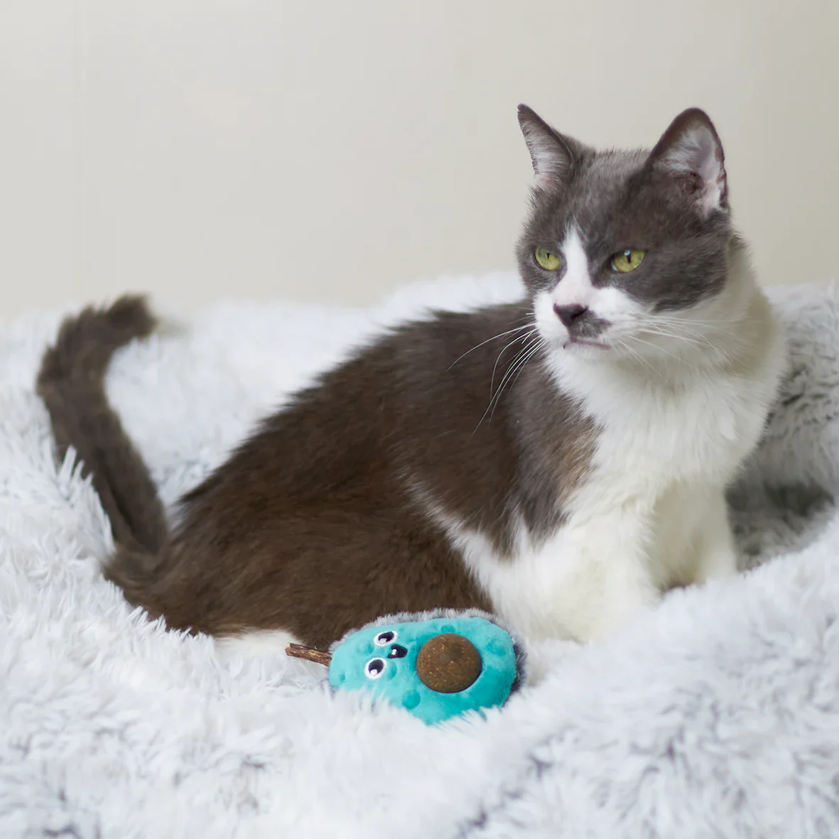 Kazoo Playful Avocado Cat Toy - Image 2