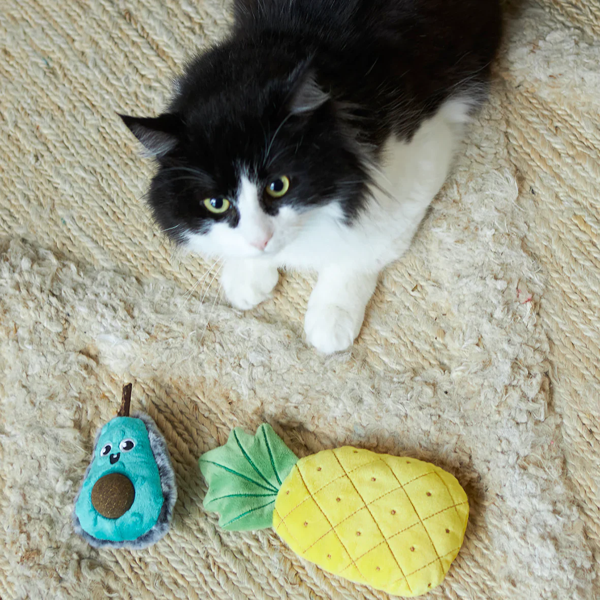 Kazoo Playful Avocado Cat Toy - Image 3