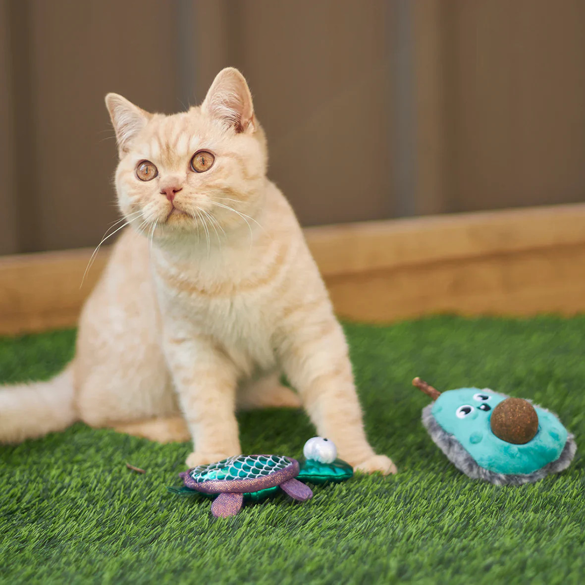 Kazoo Playful Avocado Cat Toy - Image 6