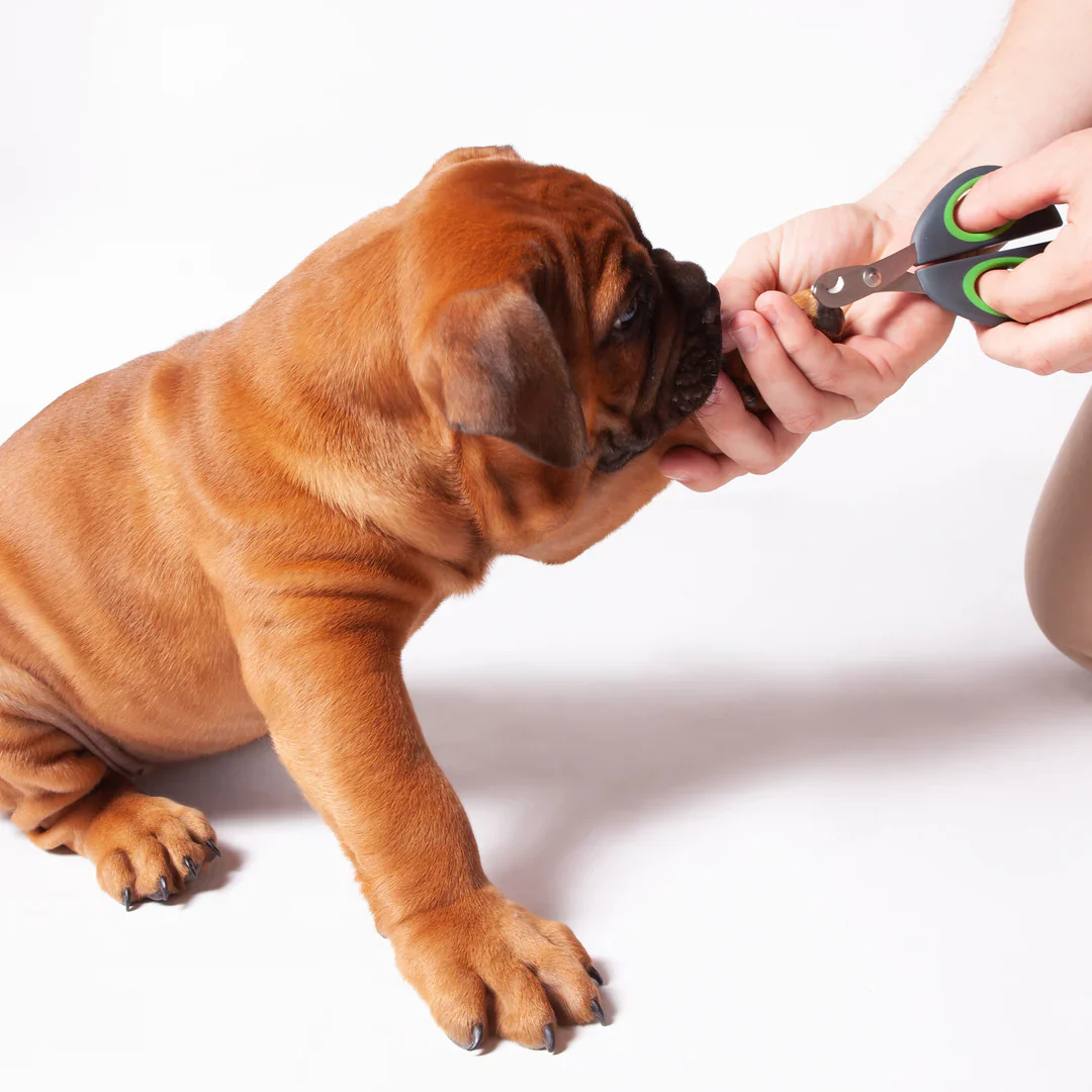 Kazoo Puppy Nail Clipper - Image 2