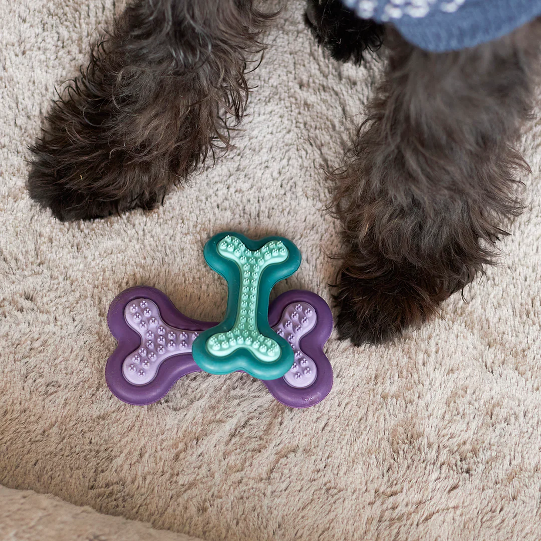 Kazoo Puppy Teether Dog Toy - Image 4