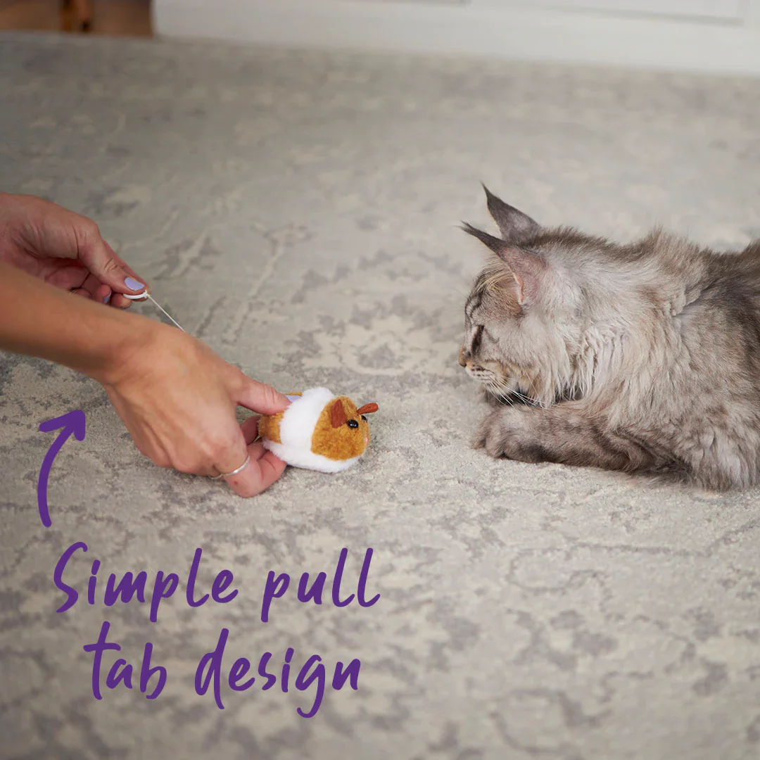Kazoo Racer Mouse Cat Toy - Image 3