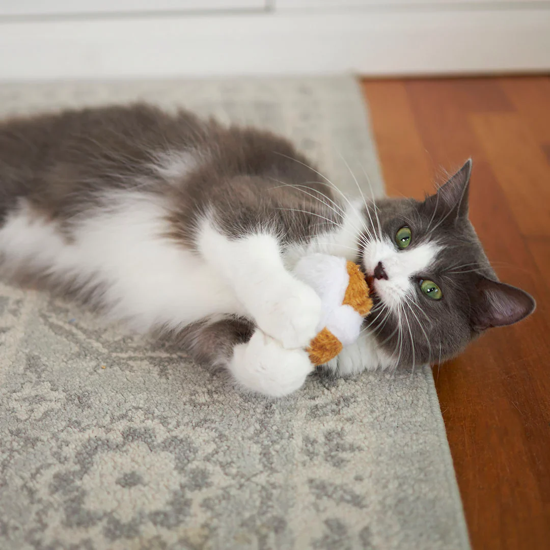 Kazoo Racer Mouse Cat Toy - Image 5