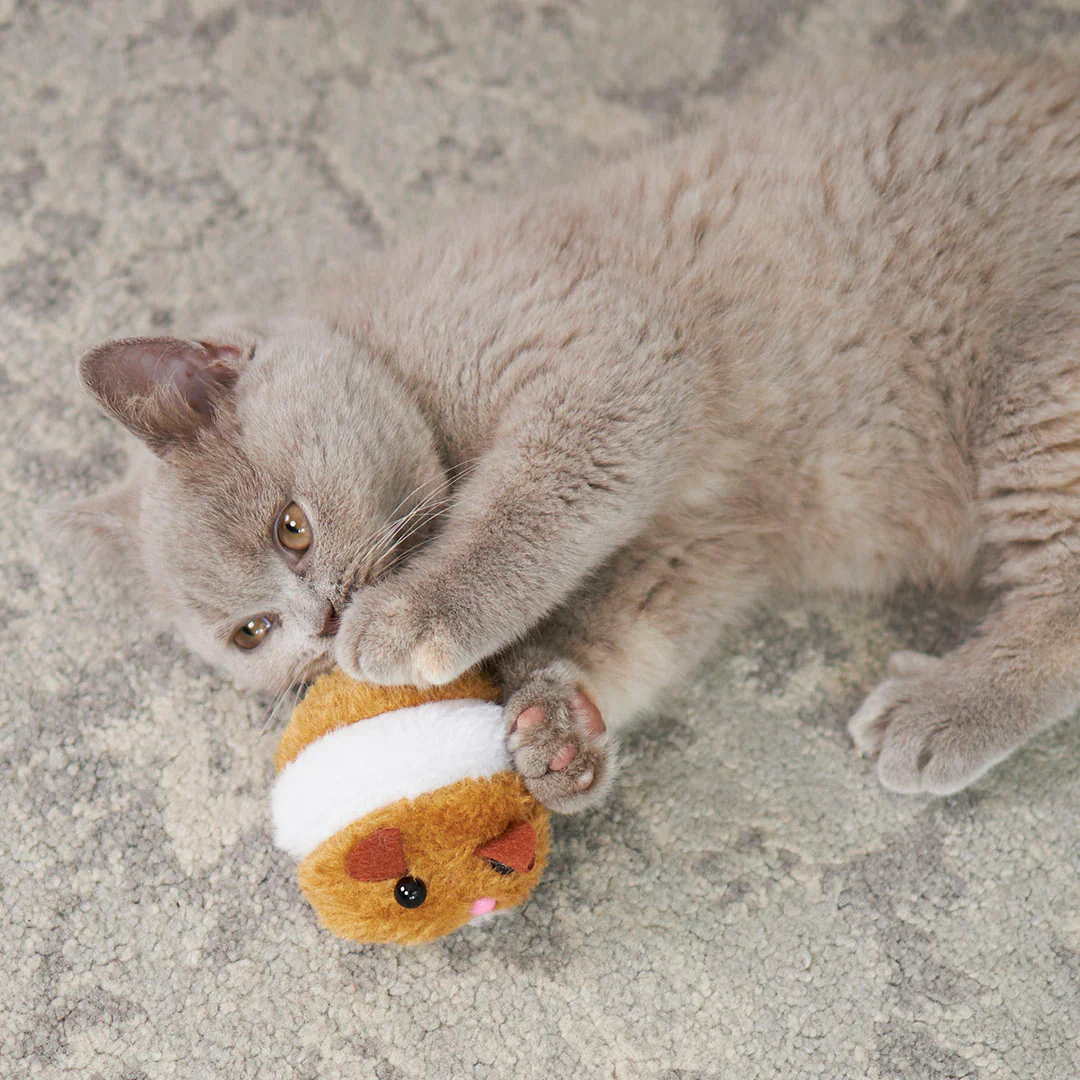 Kazoo Racer Mouse Cat Toy - Image 6