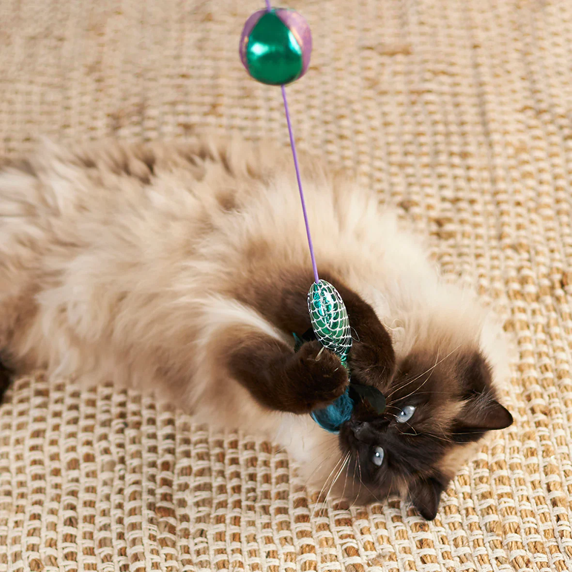 Kazoo Ripple Fish Wand Cat Toy - Image 3
