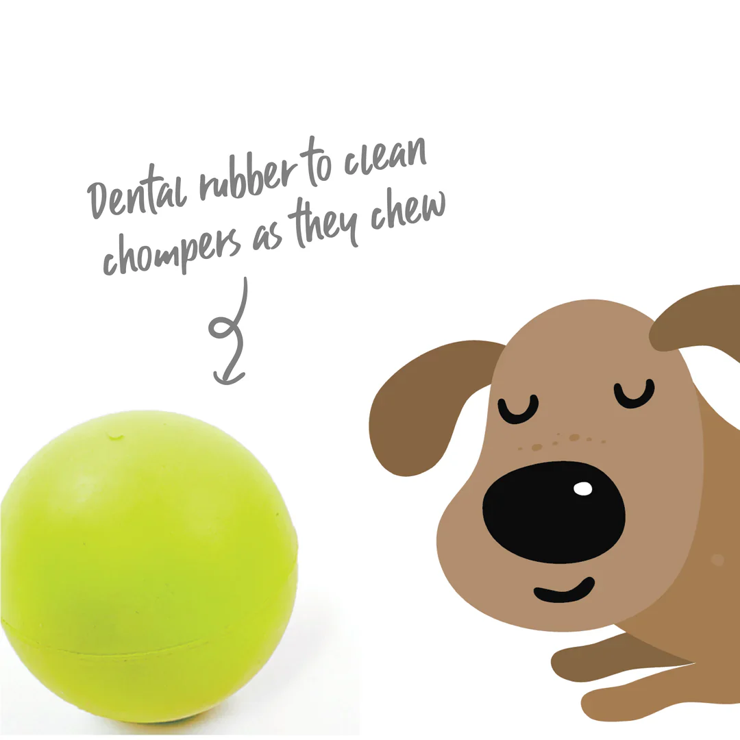 Kazoo Rubber Ball Dog Toy - Image 2