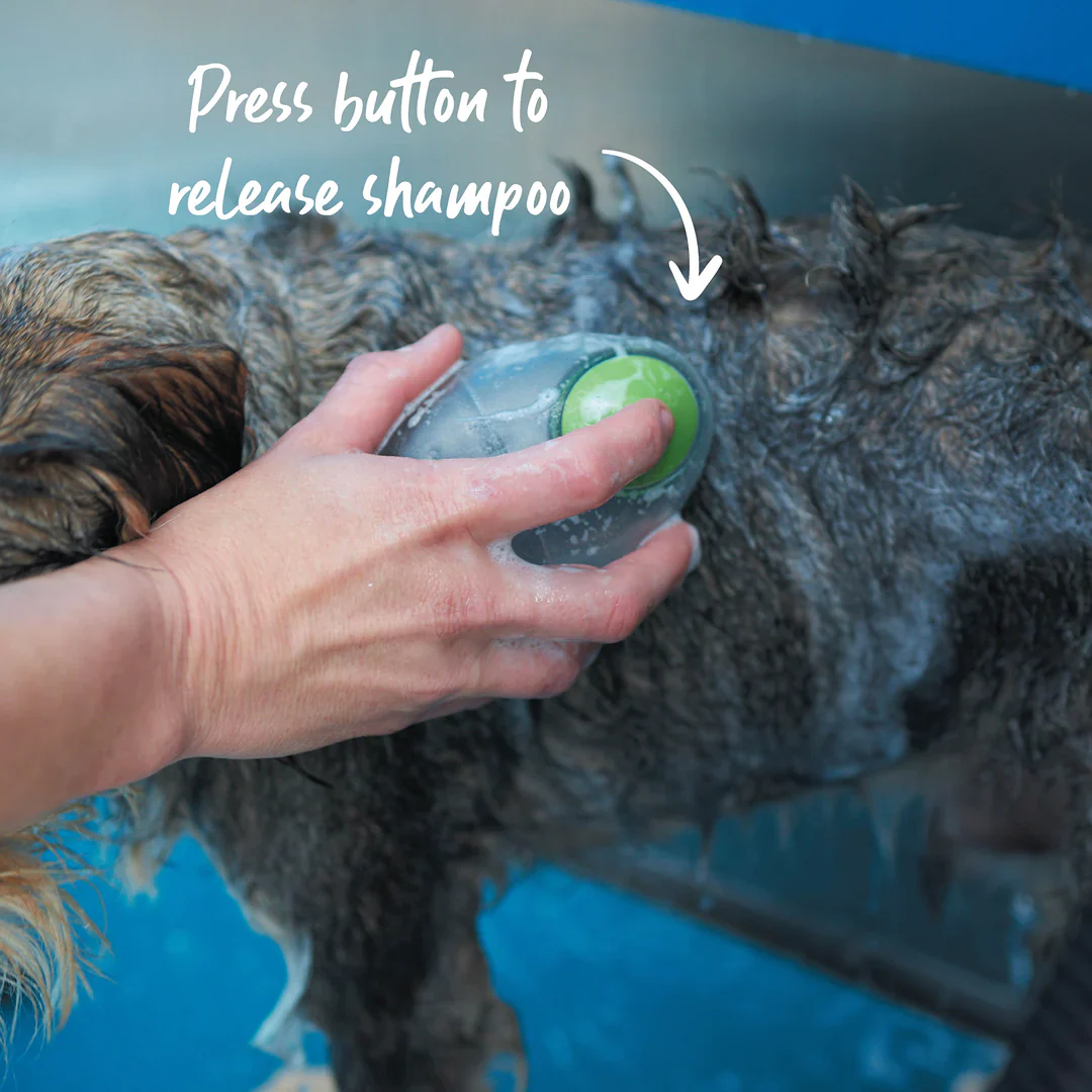 Kazoo Shampoo Brush - Image 6
