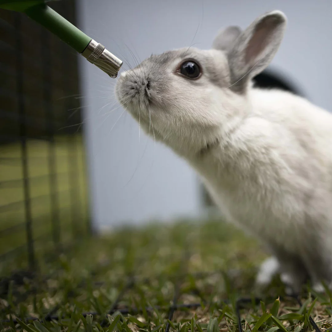Kazoo Small Animal Drink Bottle - Image 4