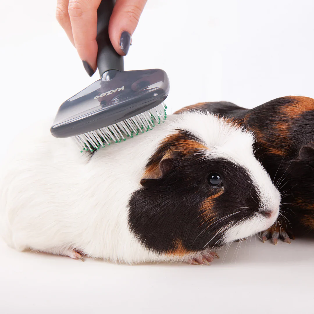 Kazoo Small Animal Slicker Brush - Image 3