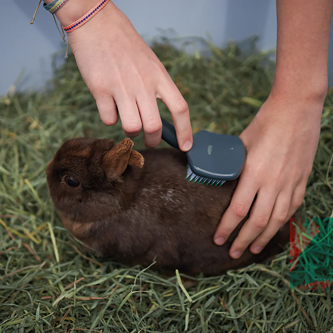 Kazoo Small Animal Slicker Brush - Image 5