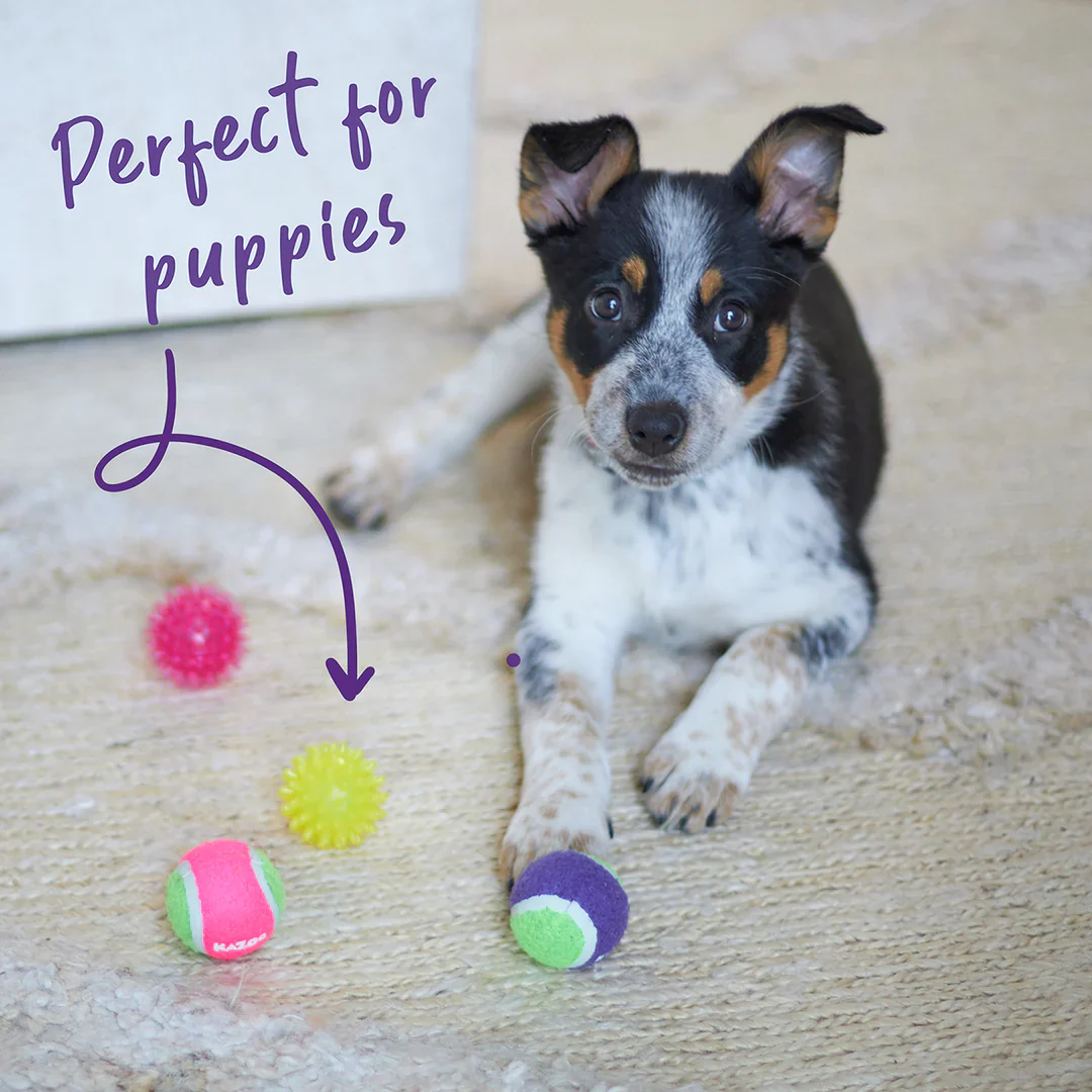 Kazoo Space Ball Dog Toy - Image 3