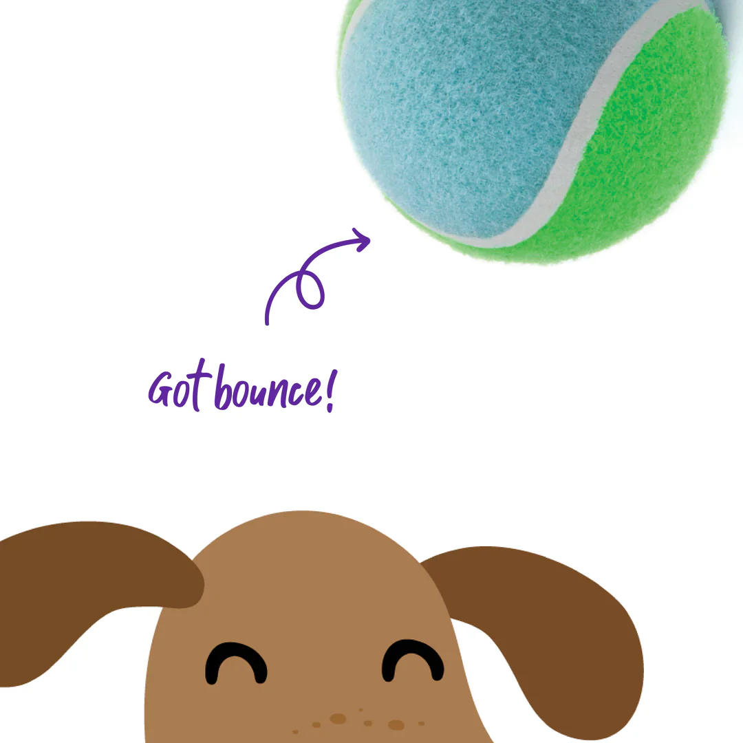 Kazoo Sponge Tennis Ball Dog Toy - Image 4