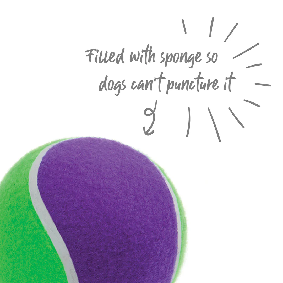 Kazoo Sponge Tennis Ball Dog Toy - Image 5