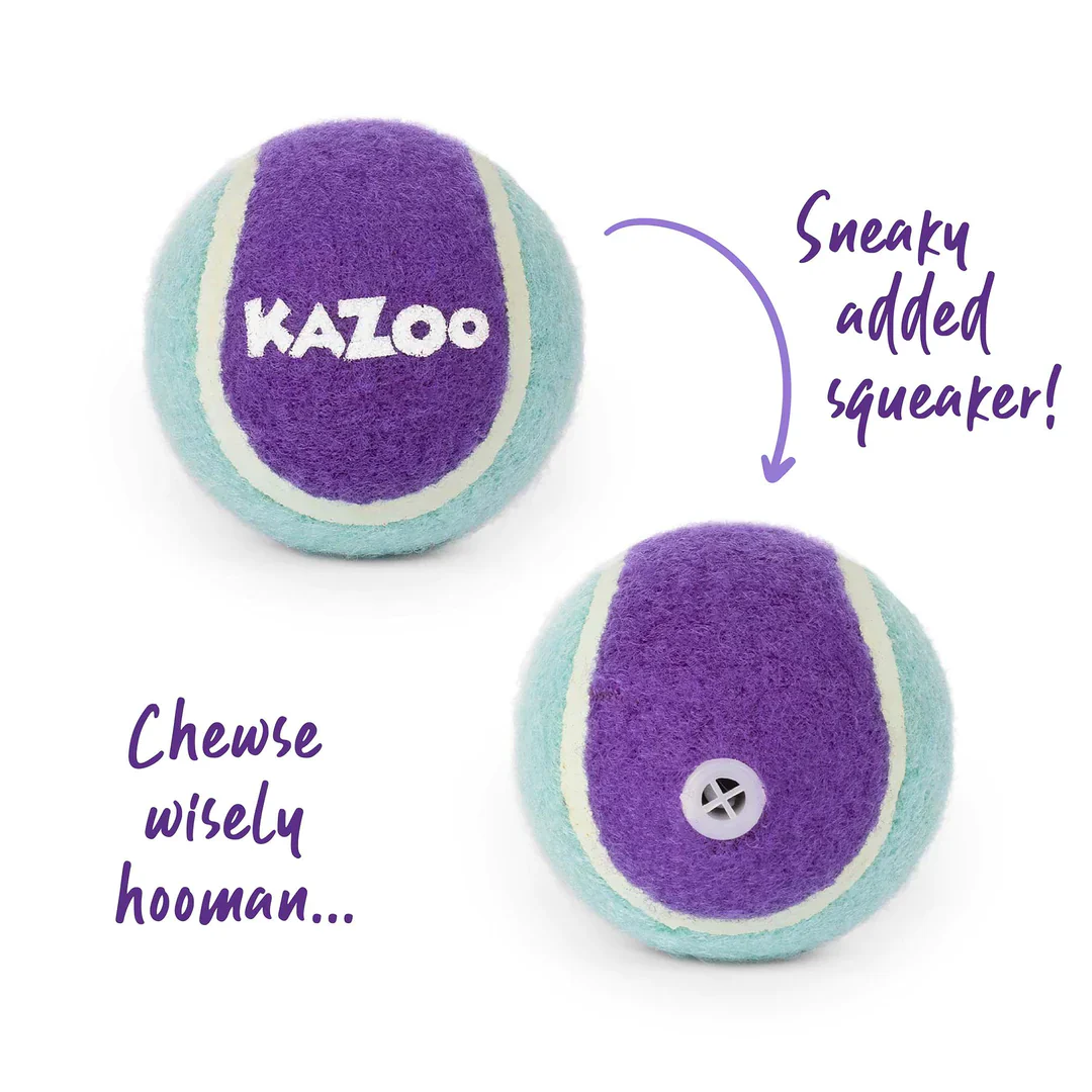 Kazoo Squeaky Tennis Ball Dog Toy - Image 2