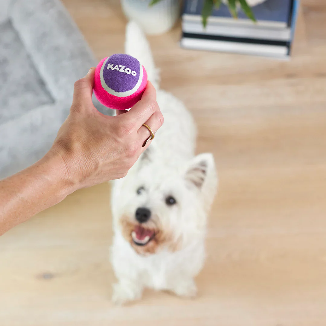 Kazoo Squeaky Tennis Ball Dog Toy - Image 4