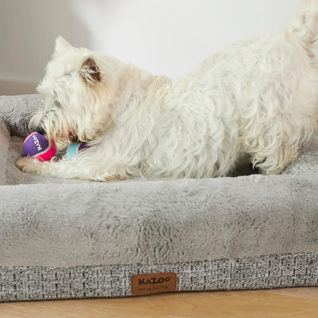 Kazoo Squeaky Tennis Ball Dog Toy - Image 5