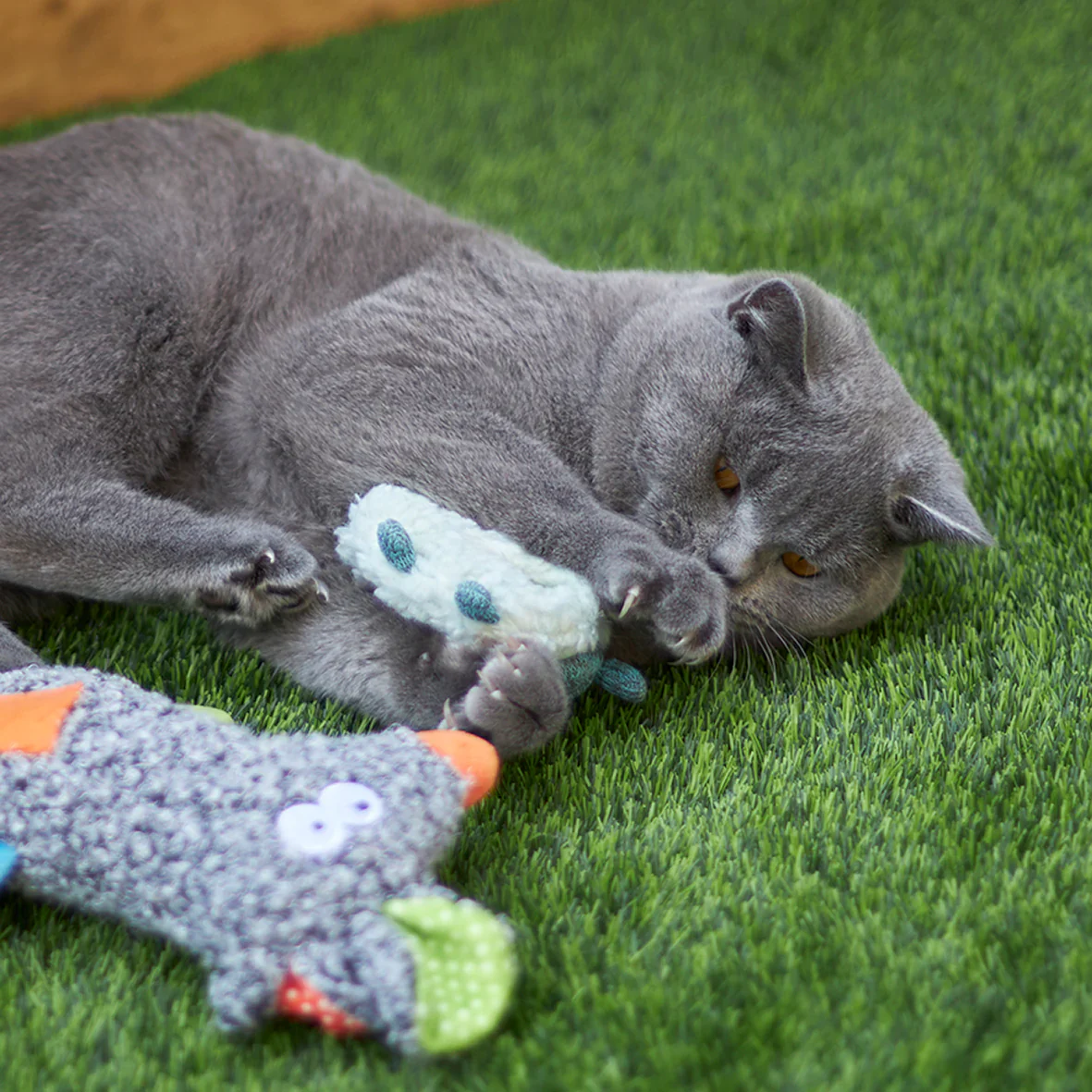 Kazoo Squinty Sheep Cat Toy - Image 4