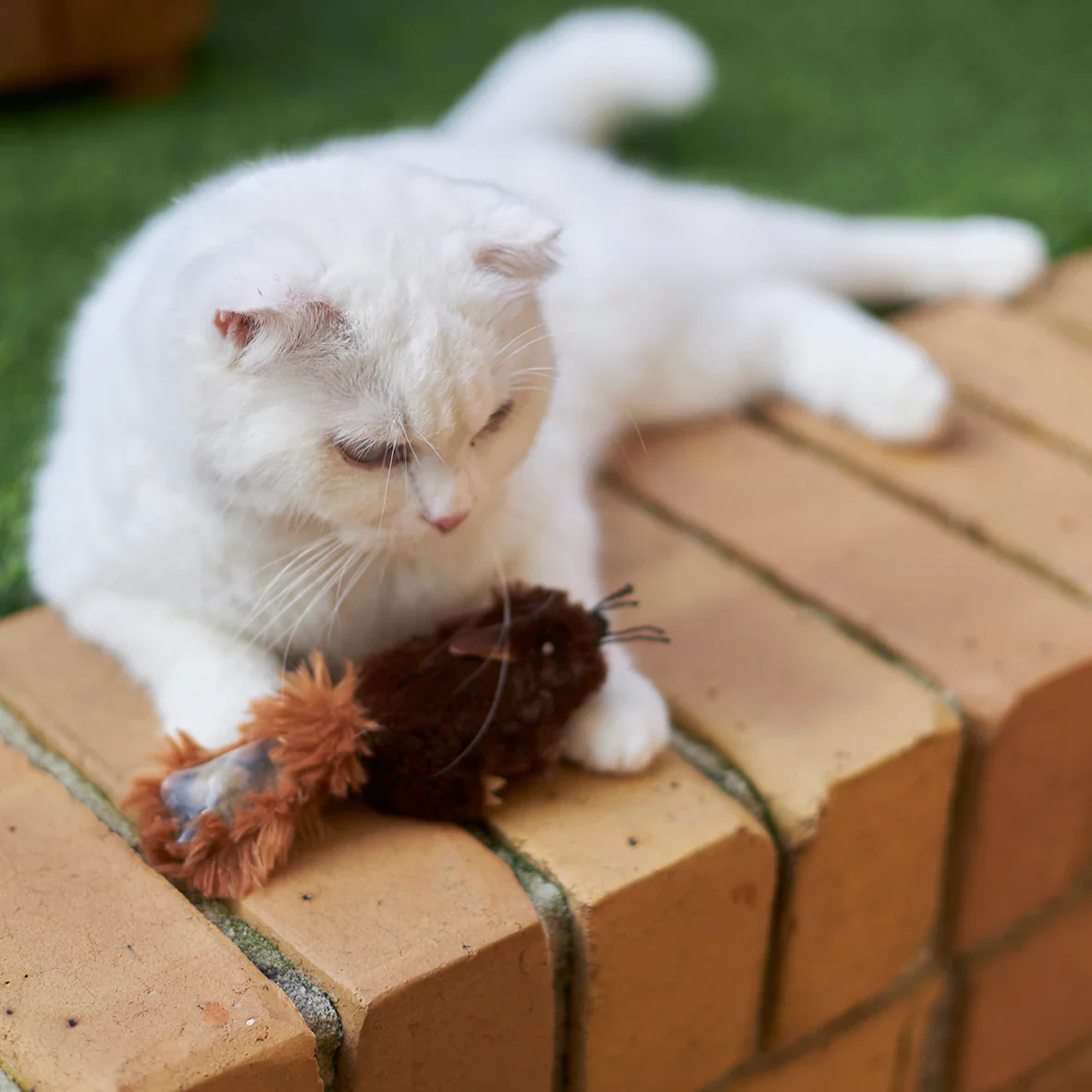 Kazoo Squishy Squirrel Cat Toy - Image 2