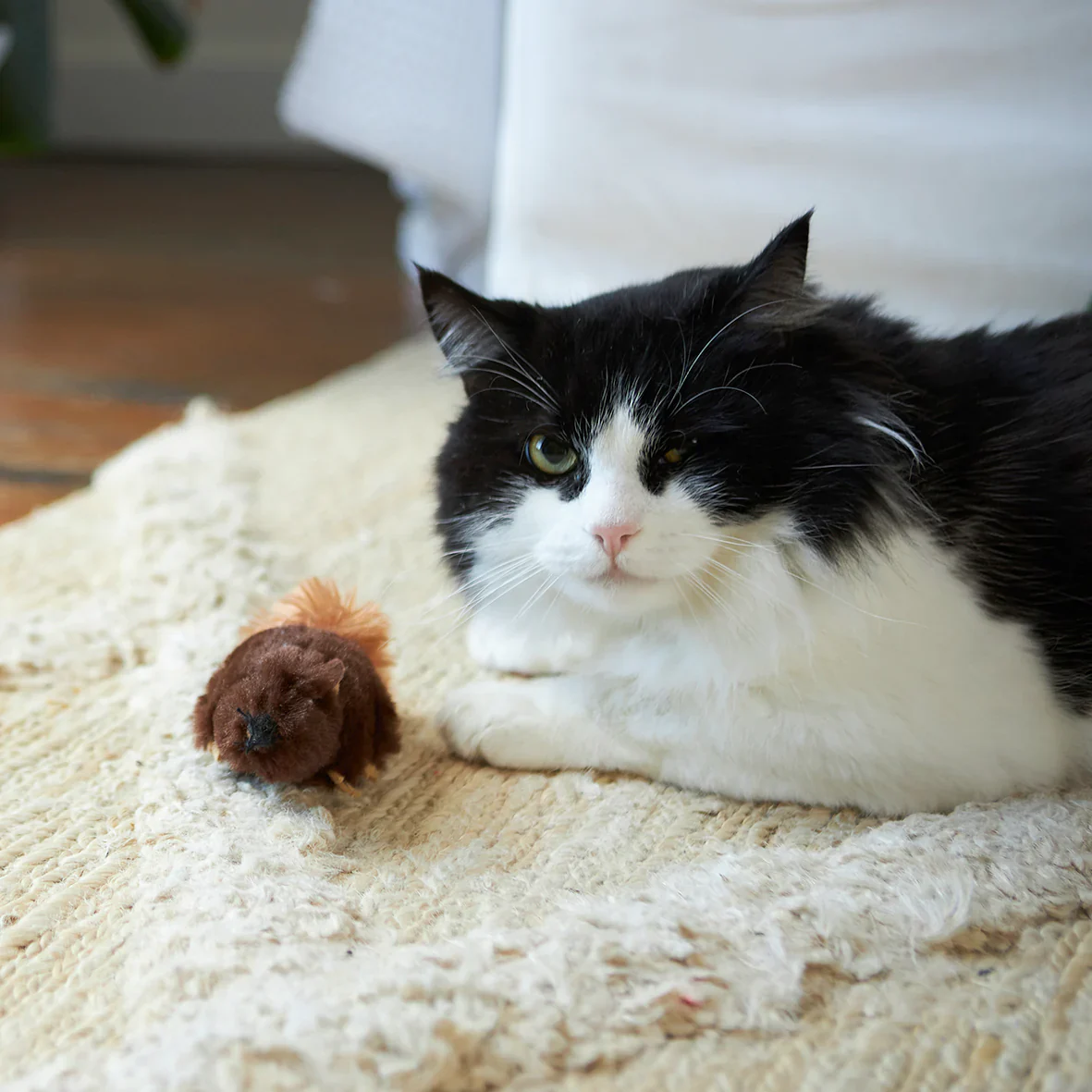 Kazoo Squishy Squirrel Cat Toy - Image 3
