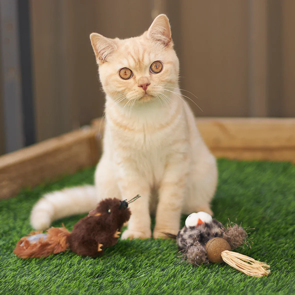 Kazoo Squishy Squirrel Cat Toy - Image 4