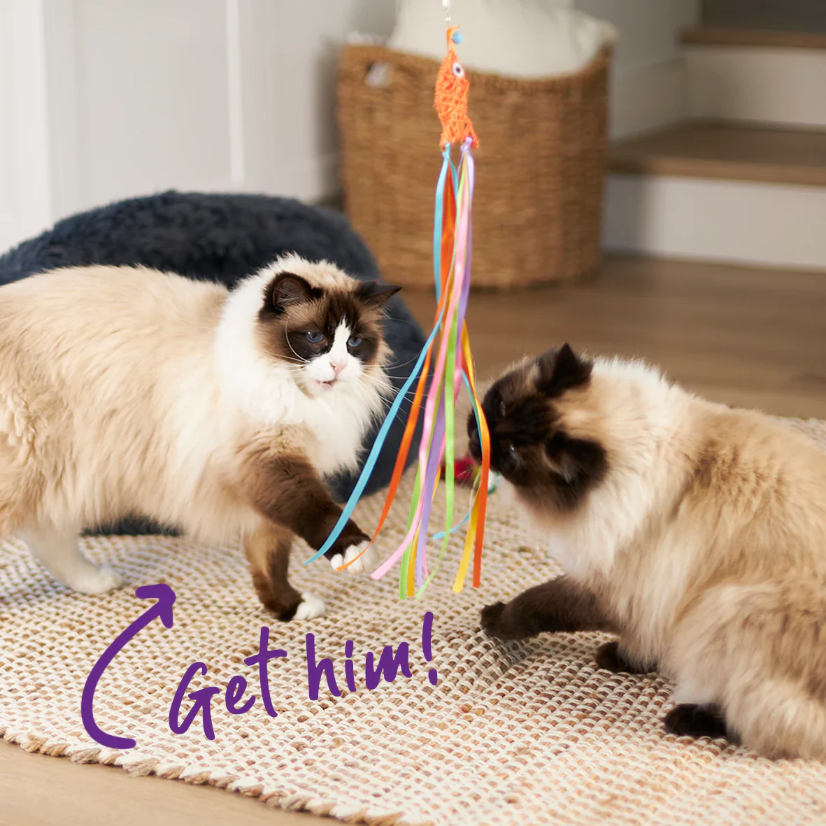 Kazoo Streamer Fish Wand Cat Toy - Image 3