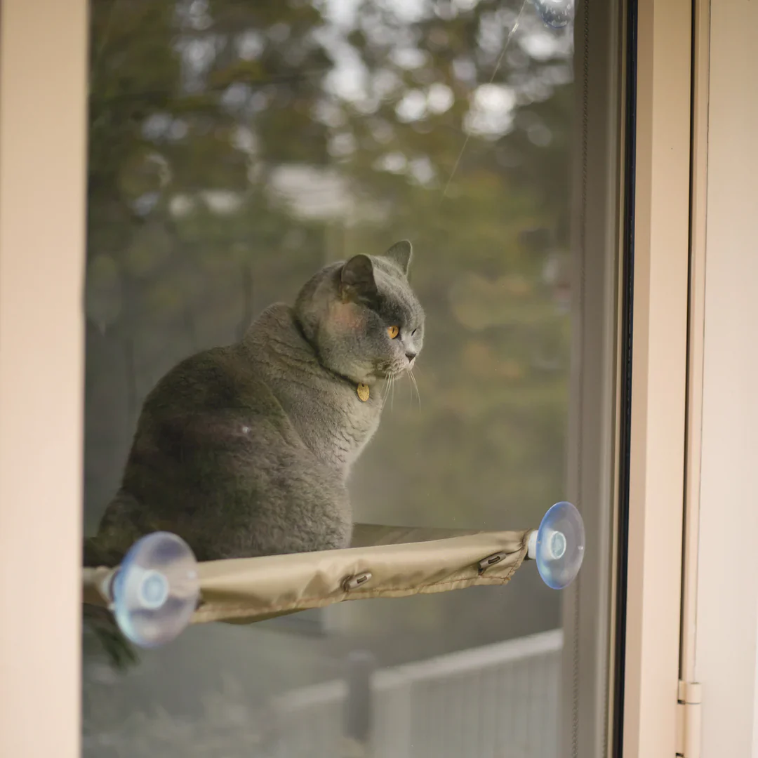 Kazoo The Lookout Window Cat Bed - Image 5