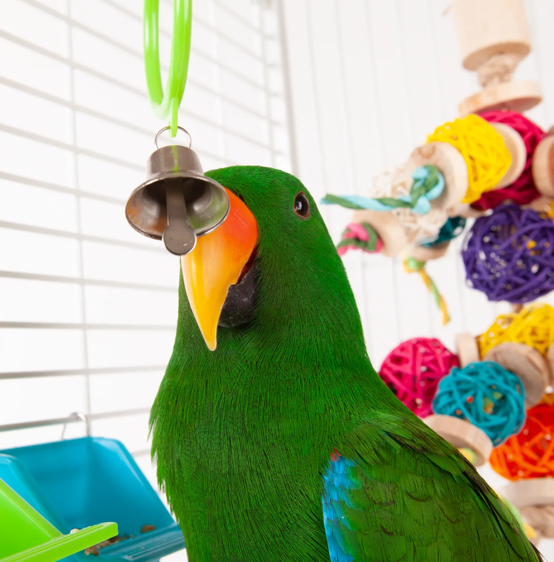 Kazoo Triple Cage Ring with Bell - Image 3