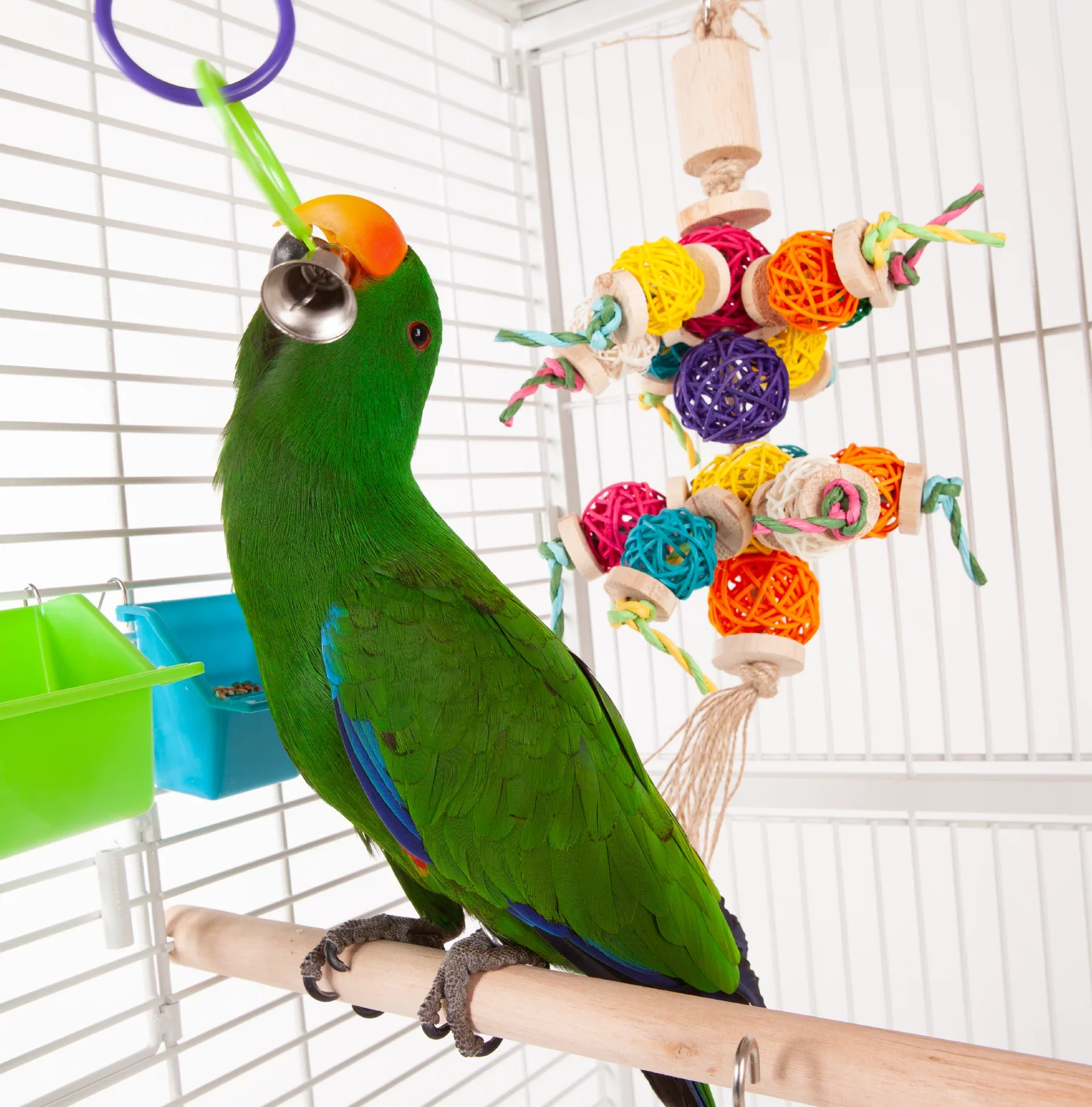 Kazoo Triple Cage Ring with Bell - Image 4