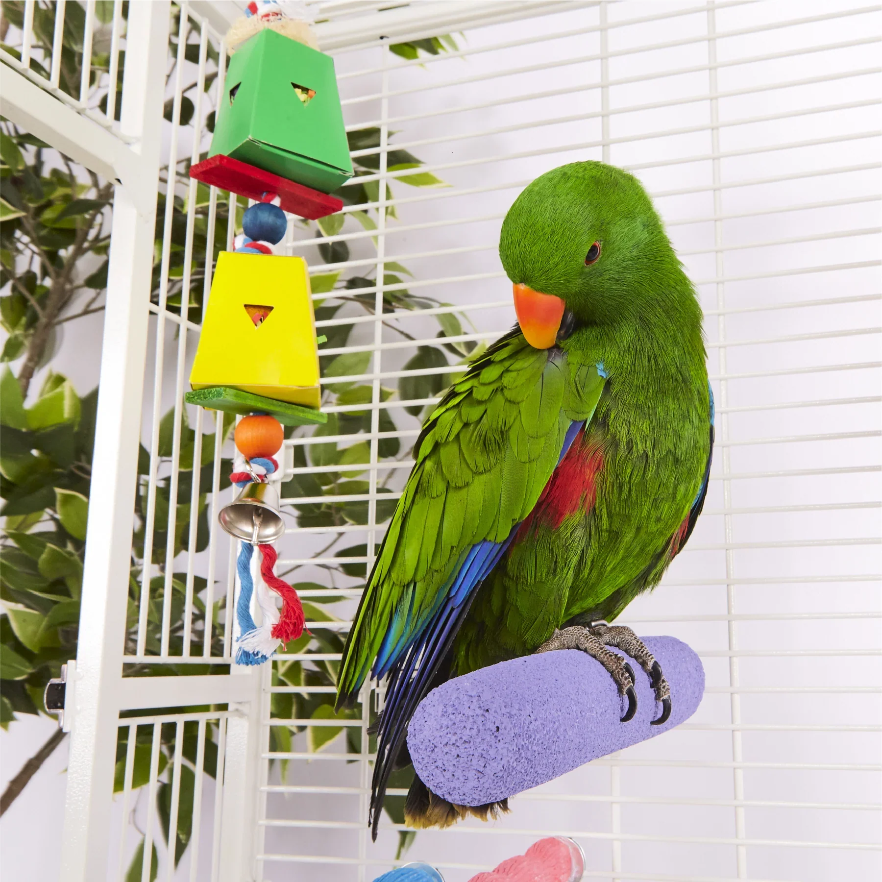 Kazoo Twin Hanging Cardboard Foraging Box - Image 2