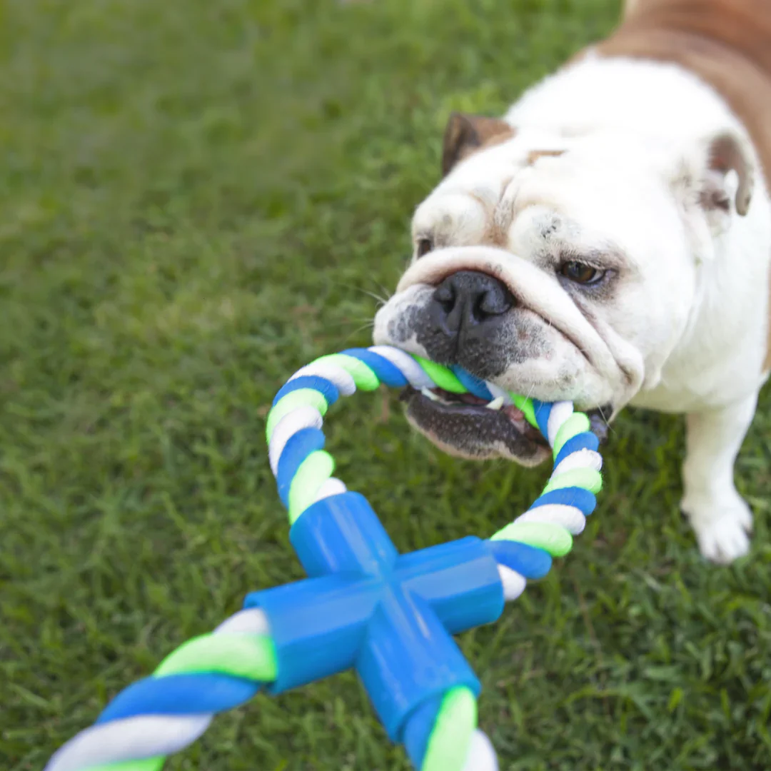 Kazoo Twisted Rope Figure 8 Tug Dog Toy - Image 5