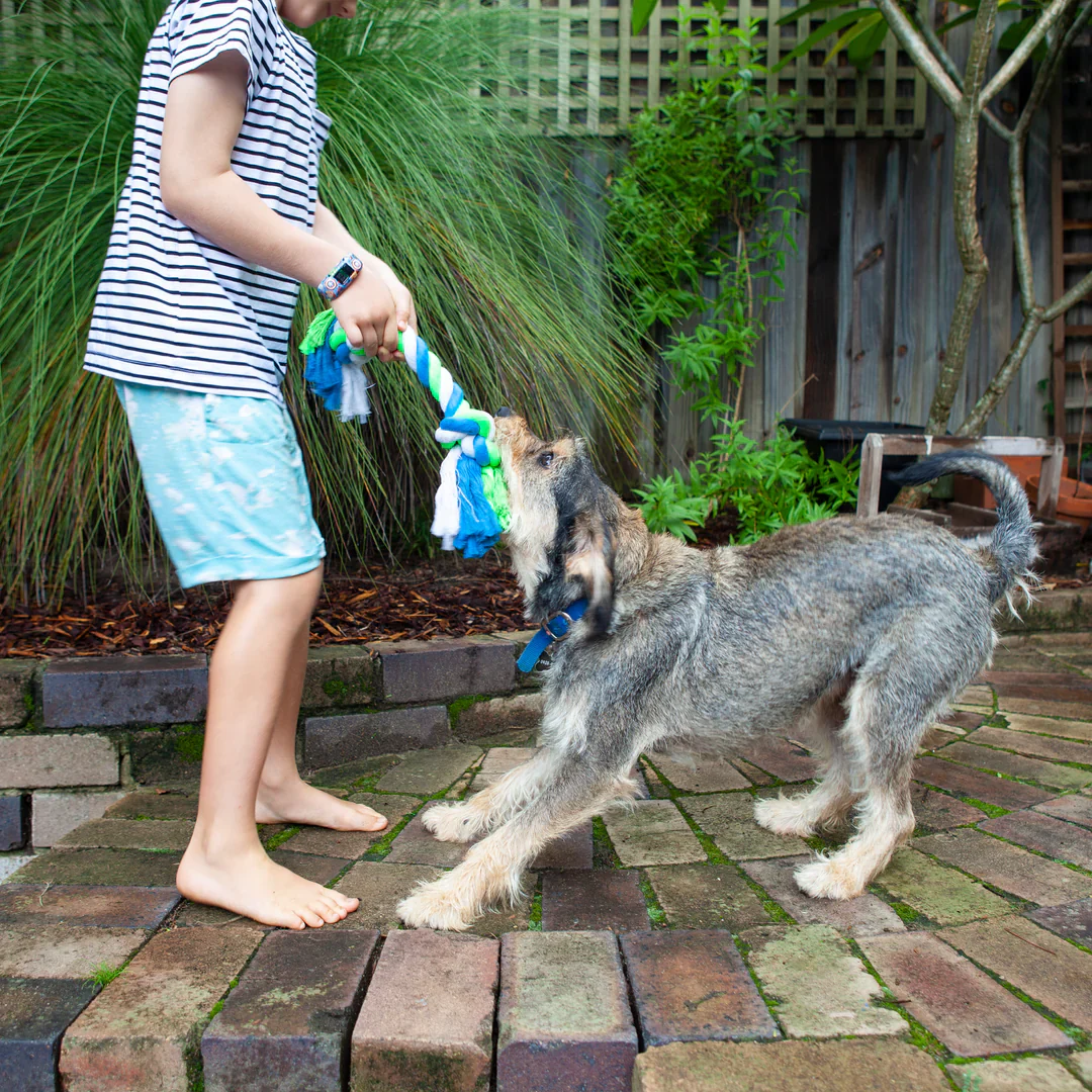 Kazoo Twisted Rope Knot Bone Dog Toy - Image 4