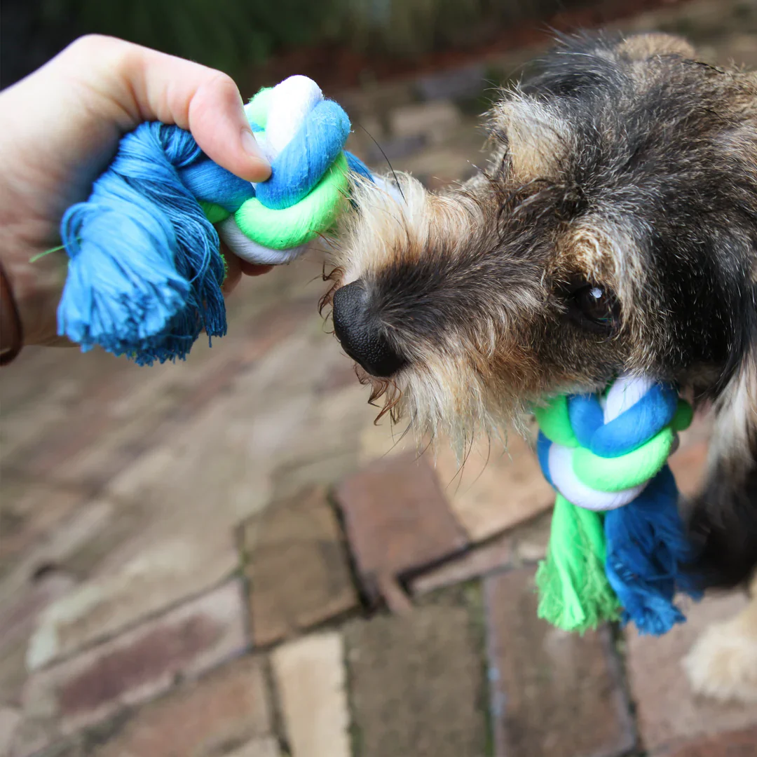 Kazoo Twisted Rope Knot Bone Dog Toy - Image 5